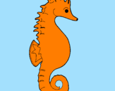 Coloring page Sea horse painted bylala