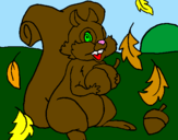 Coloring page Squirrel painted bywill