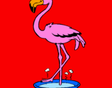 Coloring page Flamingo with soaking feet  painted bypuppy
