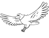 Coloring page Falcon painted byyuan