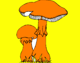 Coloring page Mushrooms painted byfrancesco