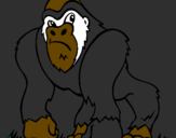 Coloring page Gorilla painted byPitbull