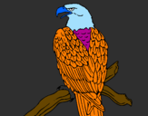 Coloring page Eagle on branch painted byjose