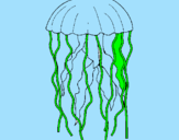 Coloring page Jellyfish painted byrafael