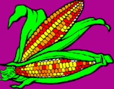 Coloring page Corncob painted byjulia
