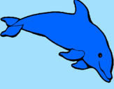 Coloring page Happy dolphin painted byOliver A