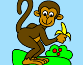 Coloring page Monkey painted bySara