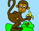 Coloring page Monkey painted bydani