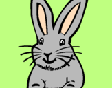 Coloring page Rabbit painted bysydney