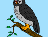 Coloring page Barn owl painted byCandie