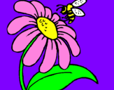 Coloring page Daisy with bee painted bymorg