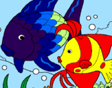 Coloring page Fish painted byky