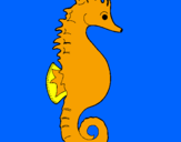 Coloring page Sea horse painted bysusie