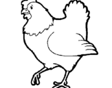 Coloring page Hen painted byyuan