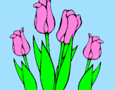 Coloring page Tulips painted byMICAELA
