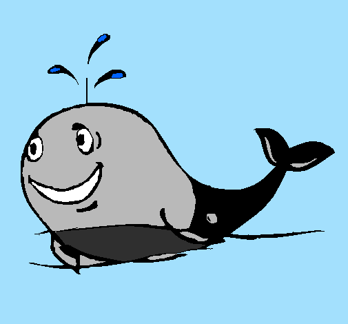 Happy whale