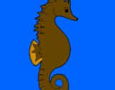 Coloring page Sea horse painted byMarga