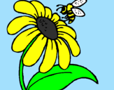 Coloring page Daisy with bee painted bylogan