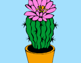 Coloring page Cactus with flower painted byCandie