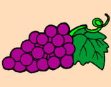Coloring page bunch painted byGrapes