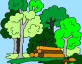 Coloring page Forest painted bycrystalena