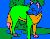 Coloring page Wolf painted byJOSH