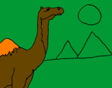 Coloring page Camel painted byANGEL