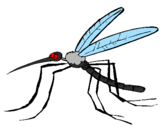 Coloring page Mosquito painted byCandie