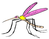 Coloring page Mosquito painted byhanaeel