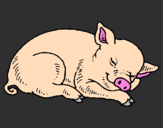 Coloring page Sleeping pig painted byIratxe