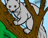 Coloring page Pine marten in tree painted byZAC AND JONATHAN