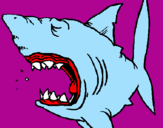 Coloring page Shark painted byDave
