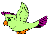 Coloring page Parakeet painted byBird