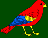 Coloring page Sparrow painted byeye