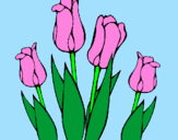Coloring page Tulips painted byTashyra