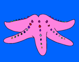 Coloring page Starfish painted bykaykay