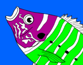 Coloring page Fish painted bygisell