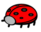 Coloring page Ladybird painted byrocio 4c  westminster