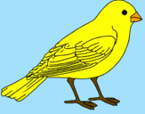 Coloring page Sparrow painted bysumer
