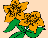 Coloring page Flowers painted byMarga
