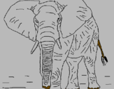 Coloring page Elephant painted byeva