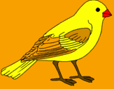 Coloring page Sparrow painted byPATRI