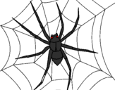 Coloring page Spider painted bySpider