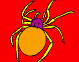 Coloring page Poisonous spider painted byJayde