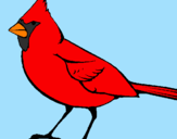 Coloring page Cardinal painted byCandie