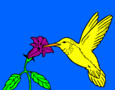Coloring page Hummingbird and flower painted bysumer