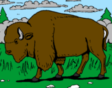 Coloring page Buffalo painted bygavin