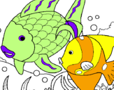 Coloring page Fish painted bykayleigh