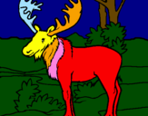 Coloring page Moose painted byesujs