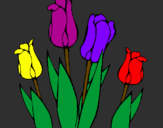Coloring page Tulips painted byenzo